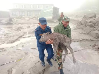  खुम्बुमा एक बेपत्ता, विद्यालय, स्वास्थ्य चौकीसहित दर्जन बढी घर बगायो 
